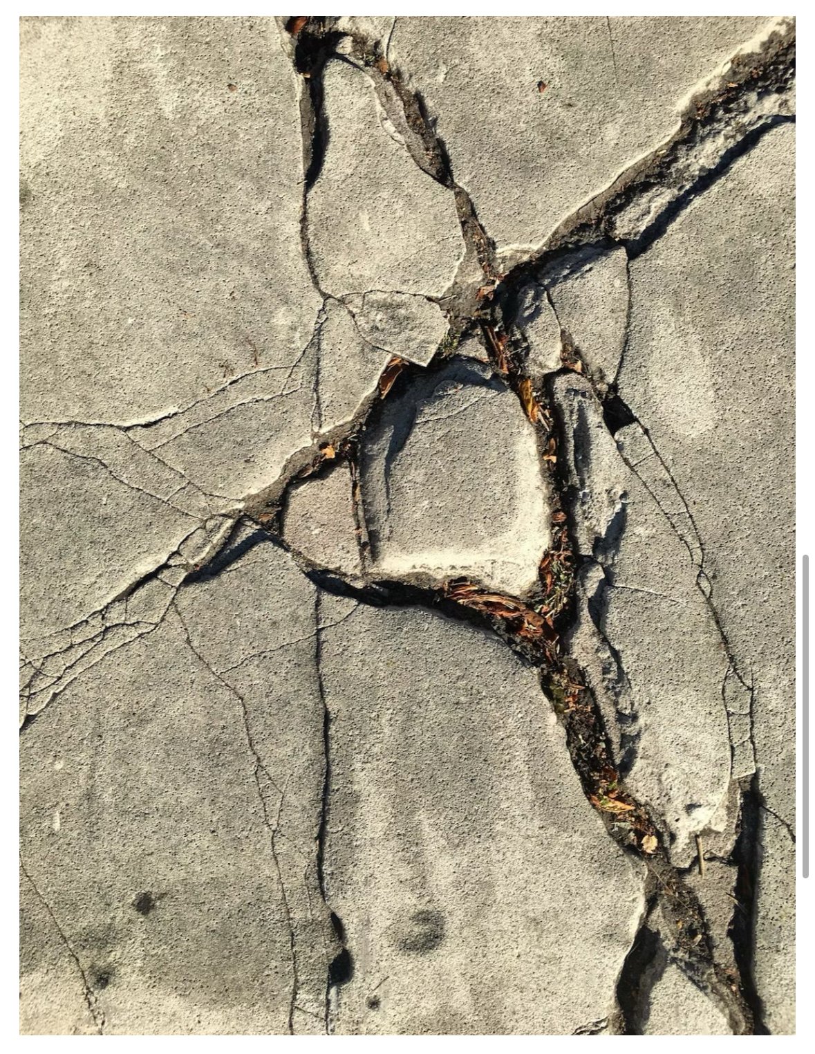 Work culture doesn’t only trickle down — it grows in the cracks we’re brave enough to open.